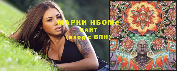 прущие грибы Алексин