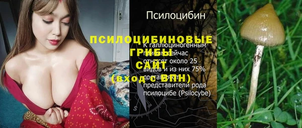 гашик Алзамай