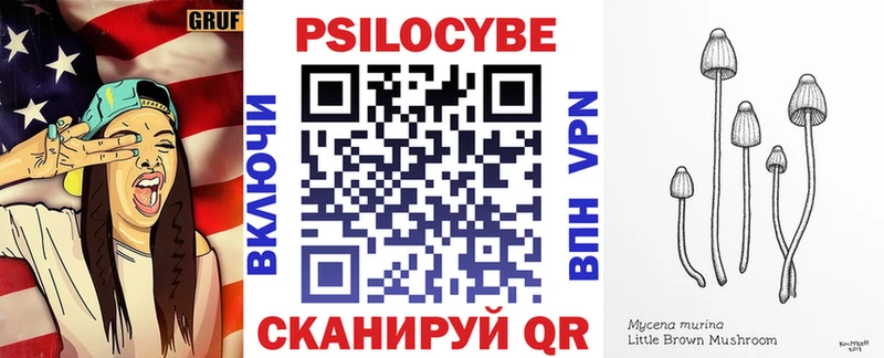 гидра зеркало  купить закладку  Духовщина  Галлюциногенные грибы мицелий 